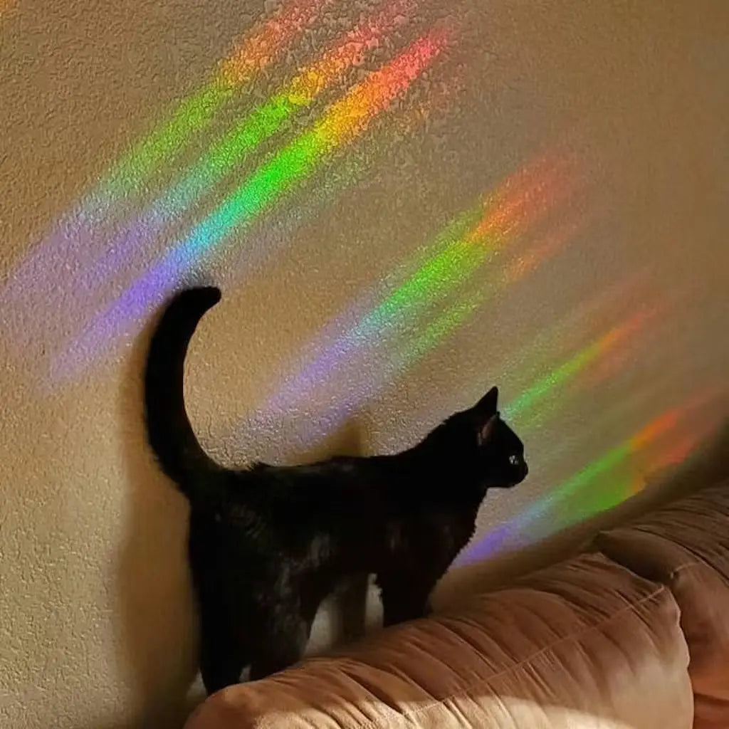 Rainbow Making Sun Catcher Sticker Sets RayMakers