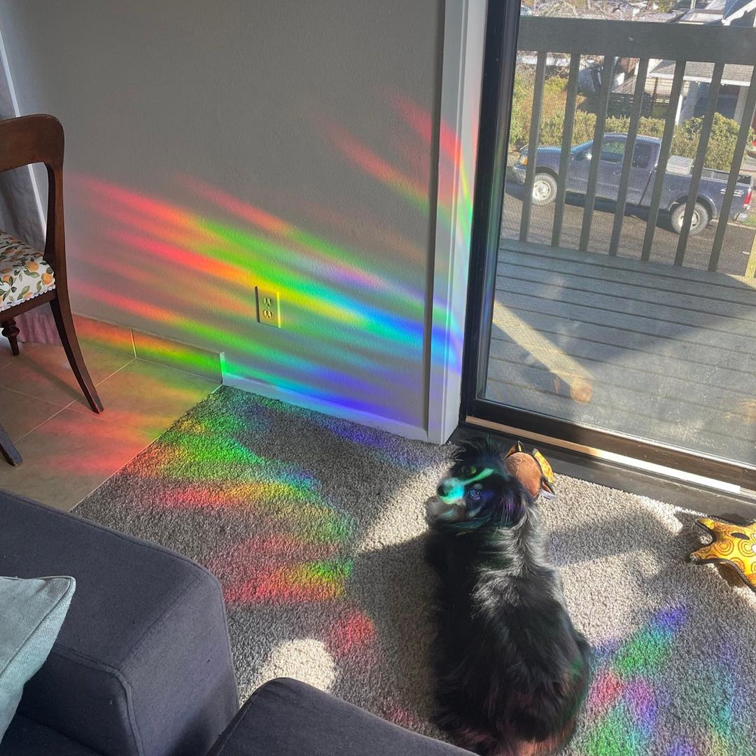 Sun Catcher Rainbow Making Stickers